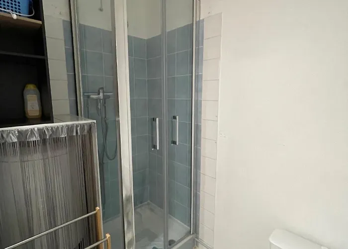 Le Cheval De Au Coeur Du Centre équestre